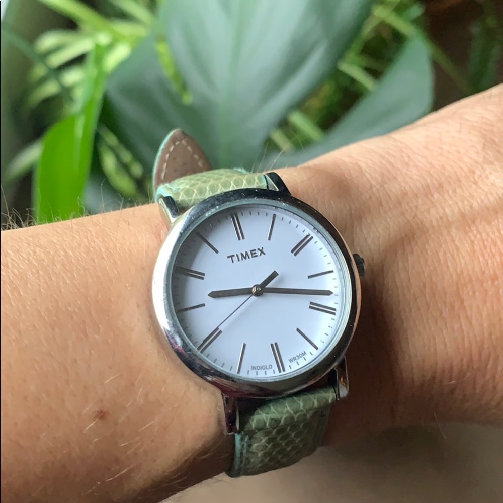 Timex Watch with Lizard Band- Indiglo